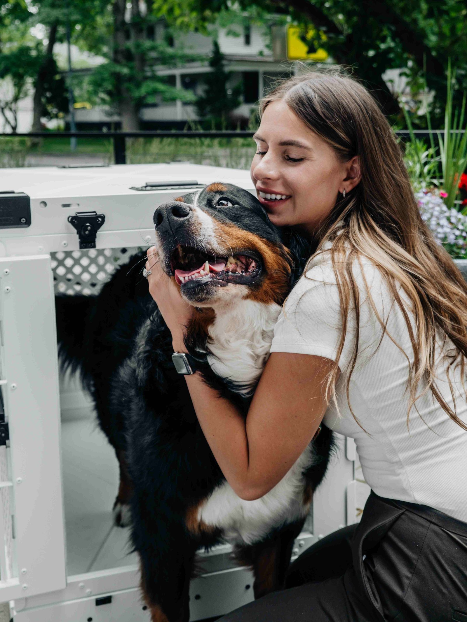 Cachorros sanos y felices en el criadero